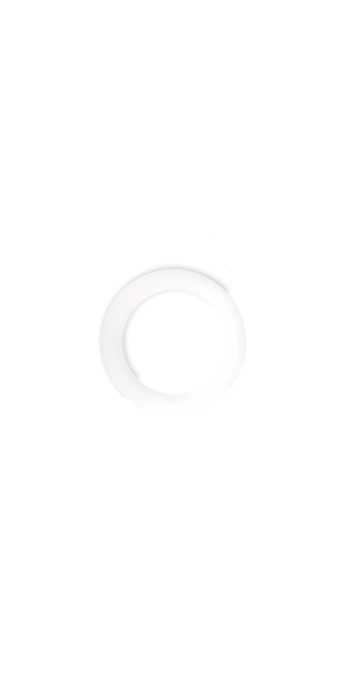 Plastic white washer for machine head